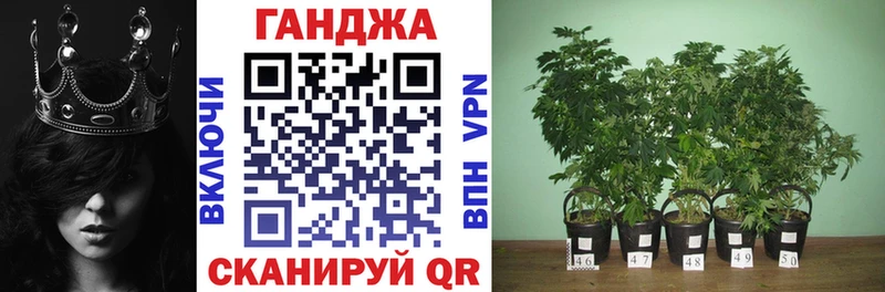 Бошки Шишки OG Kush  Купить  Горбатов 